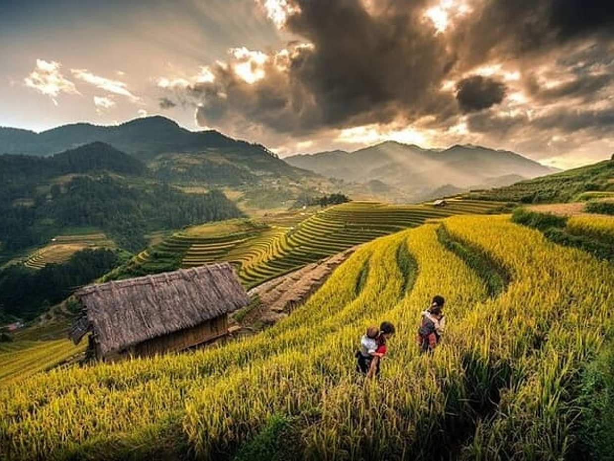 1 Day Sapa Tour Explore Y Linh Ho And Lao Chai And Ta Van Village, Vietnam, photo 3