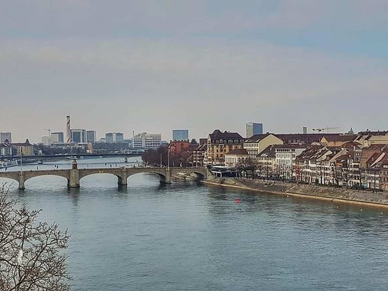 Scopri il Fascino di Basilea: Esclusivo Tour Privato a Piedi in Svizzera, Binningen, photo 2