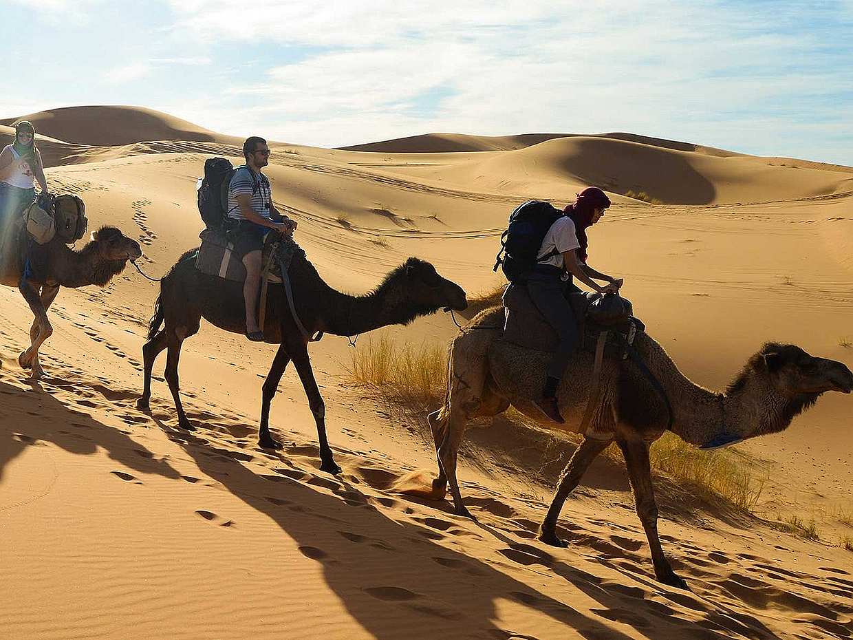 Agadir Camel Riding with Barbecue Dinner, Morocco