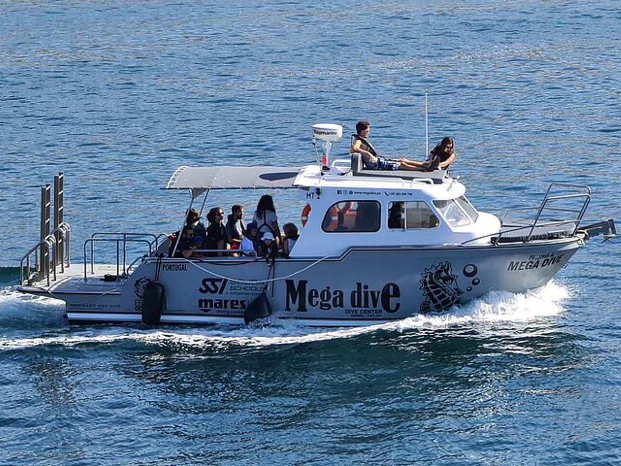 Guided Dolphin Watching in the Arrábida Natural Park in Portugal, Sesimbra, photo 3