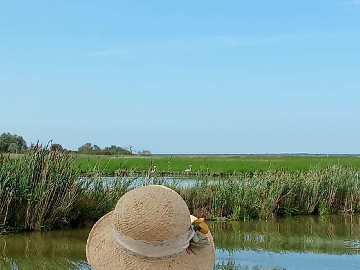Po Delta Sunset Boat Tour: Explore Isola dell’Amore & Nature with aperitif, photo 2