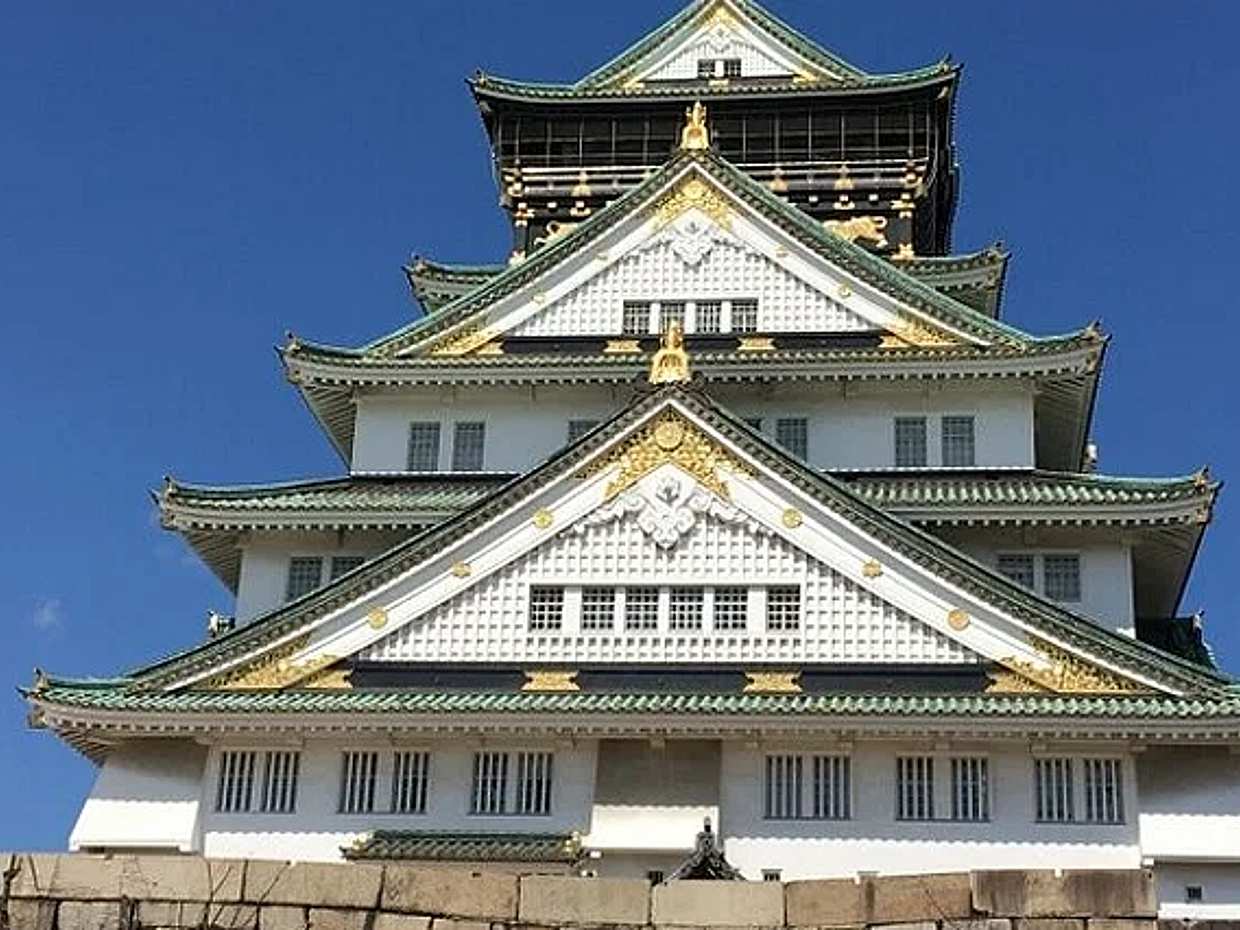Half-day Private Guided Walking Tour to Osaka Castle, Japan, photo 2