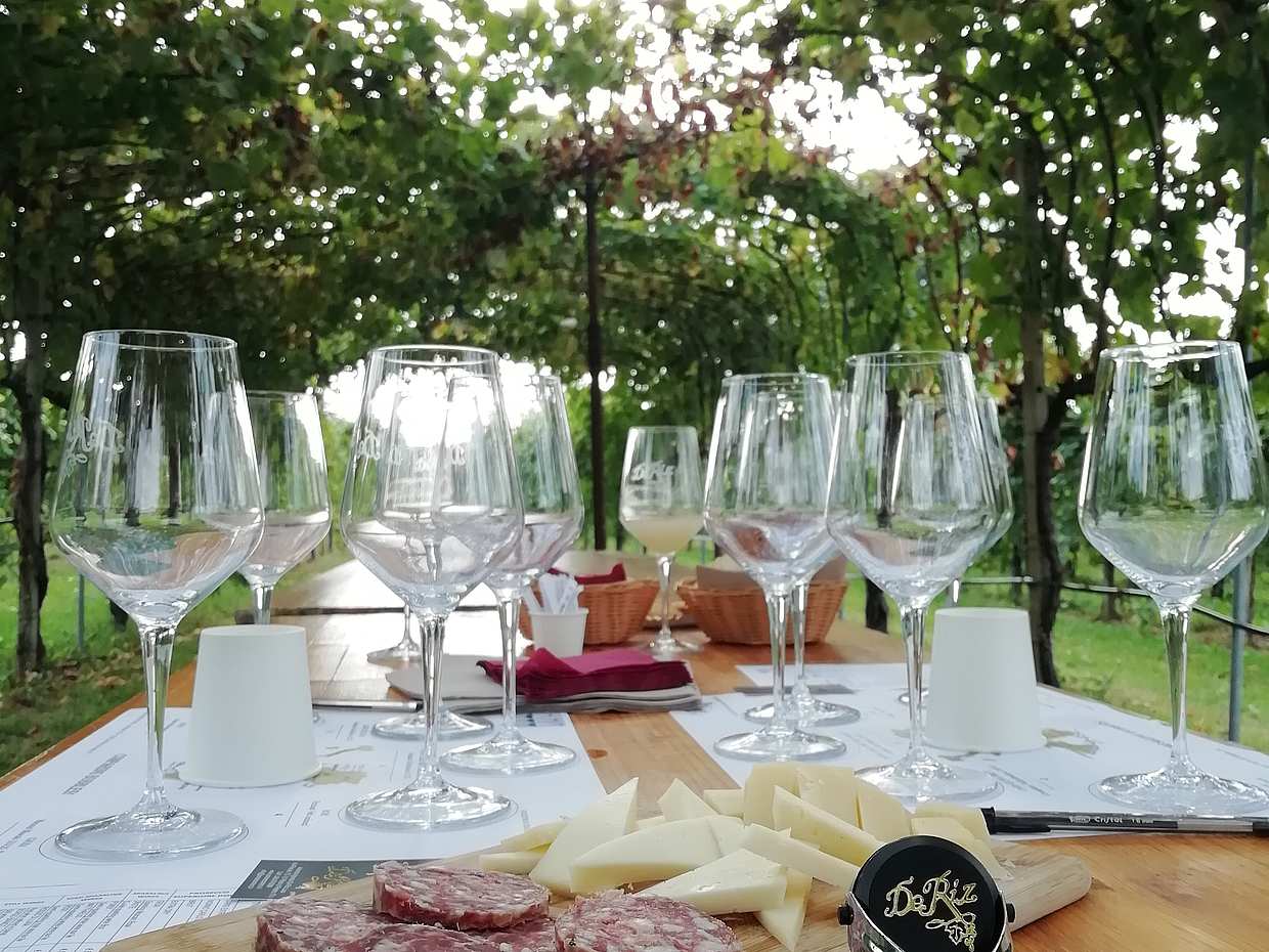 Prosecco Experience in Italy, Veneto