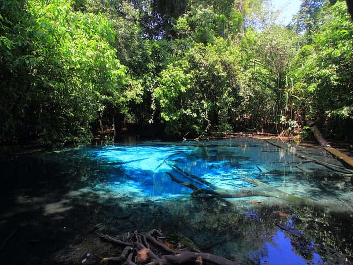 Tiger Cave Temple, Emerald Pool & Hot Springs Tour from Krabi – Full Day