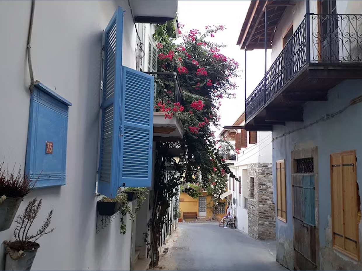 Private Half-day Cyprus Tour by Taxi without Guide