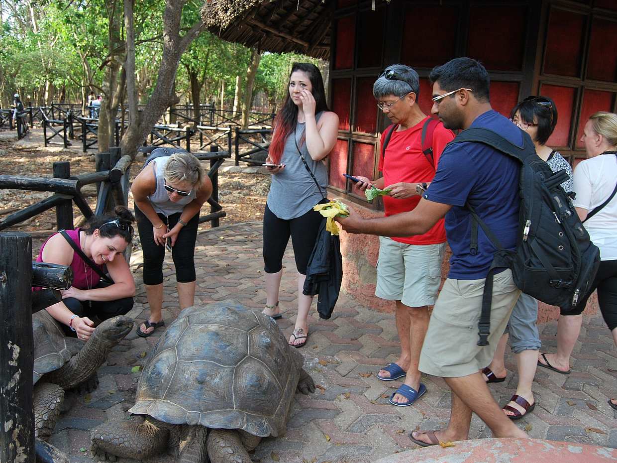 Wycieczka na Wyspę Więzienną w Tanzanii, Zanzibar.