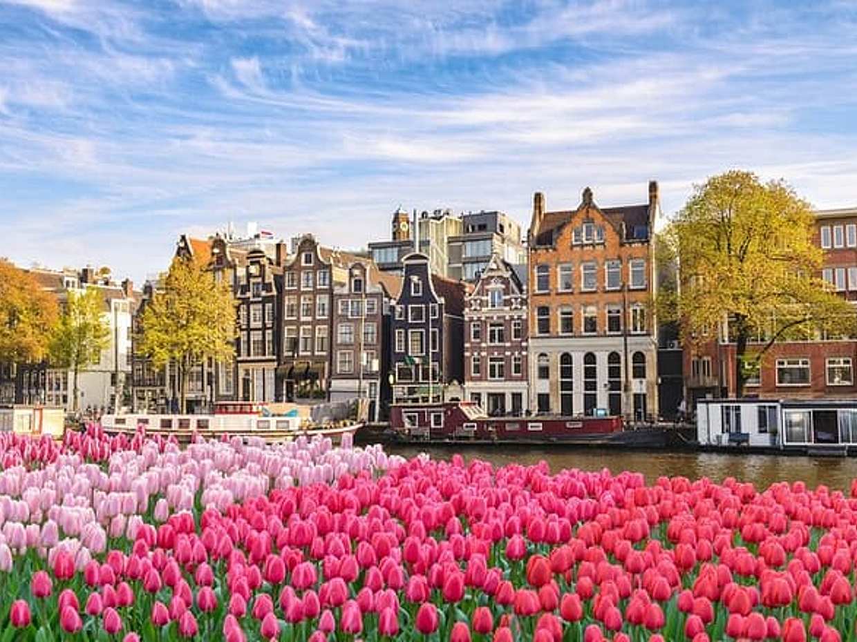 Private transfer from Paris to Amsterdam, 2h Stop in Brussels in France, photo 3