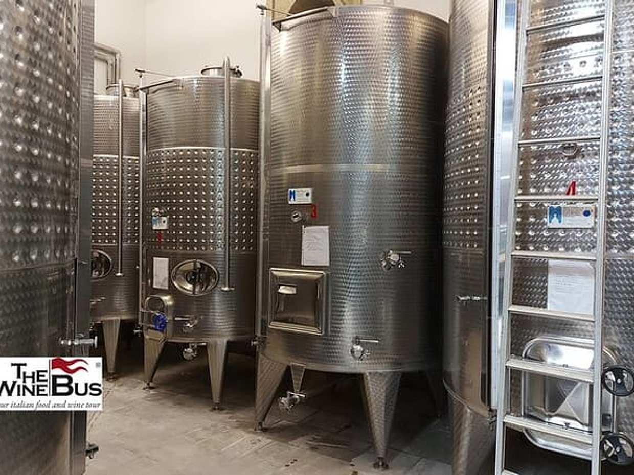 Private Irpinia Wine Tour from SORRENTO with sommelier, photo 4