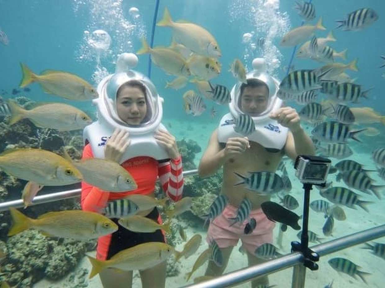 Cham Island Zeewandeling en snorkelen per speedboot in Vietnam, Da Nang