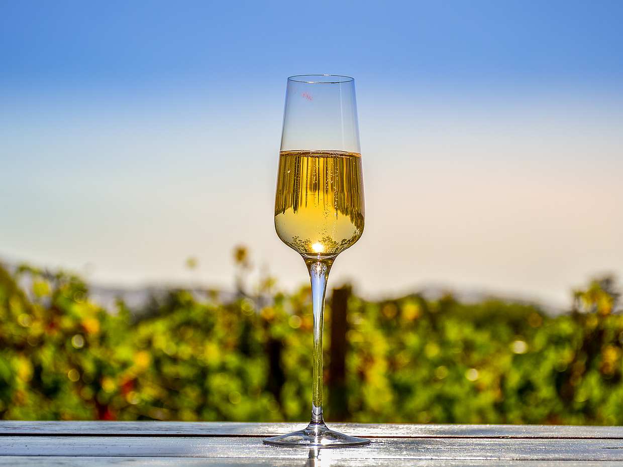 Full Day Cape Winelands Trike Tour in Cape Town, South Africa