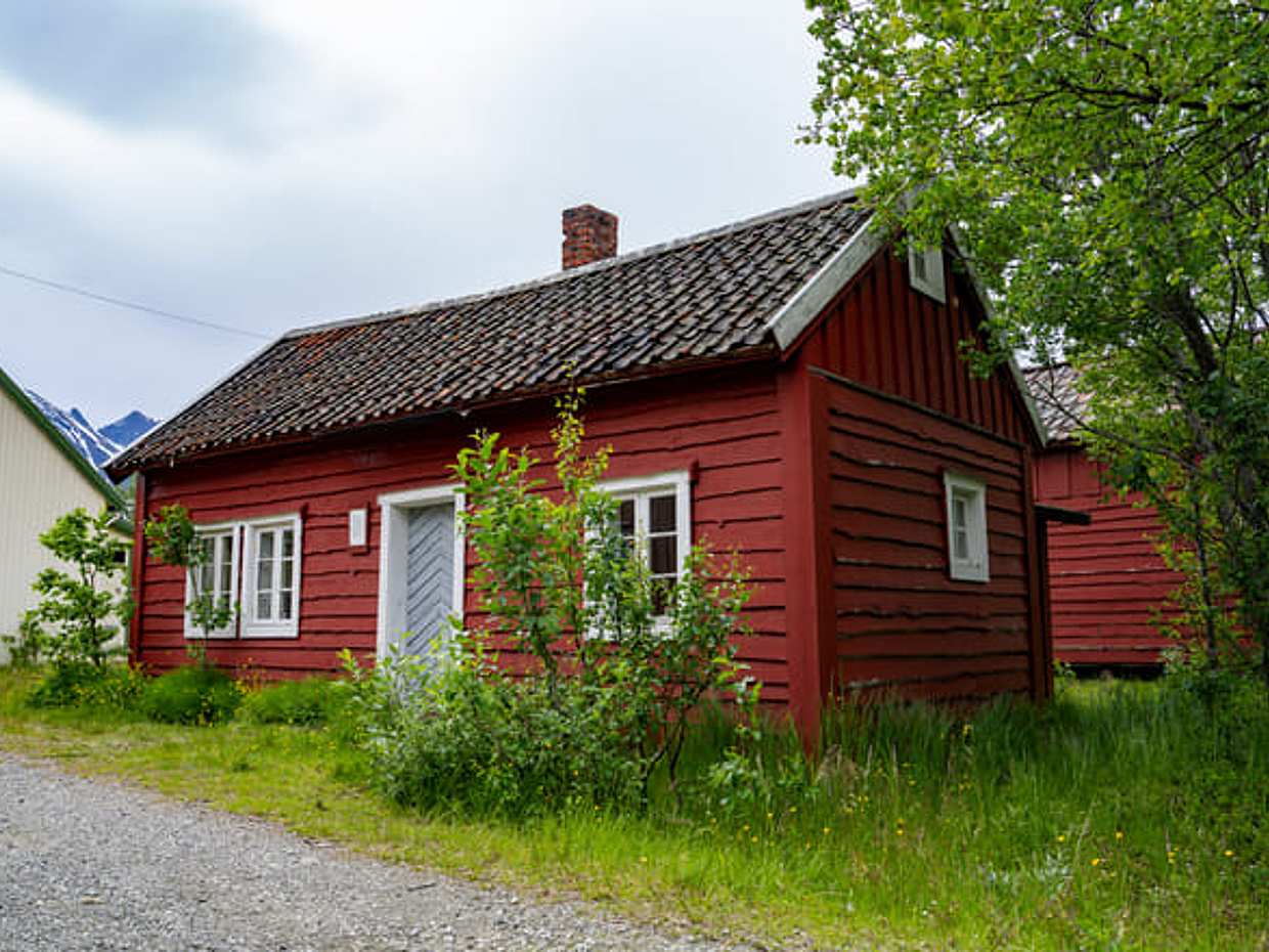 Fjordtour and sightseeing for cruiseship guests, photo 5