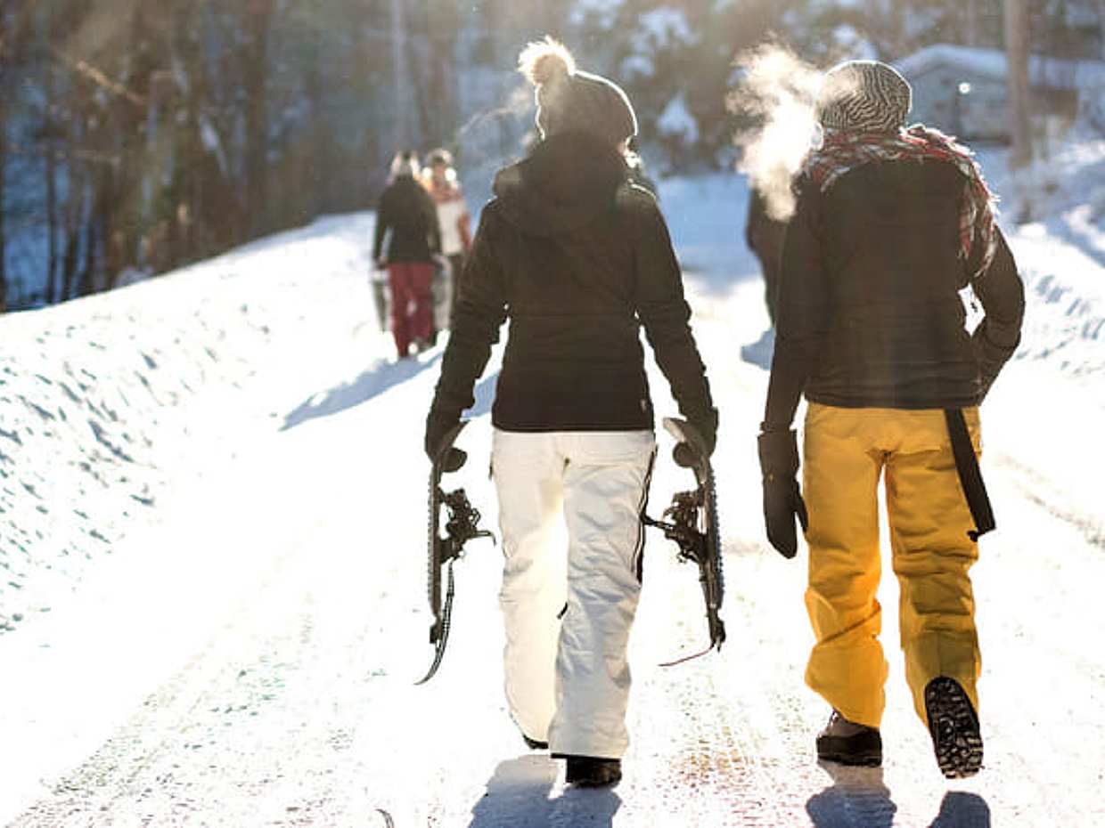 Day Trip - Snowshoeing in Bodø, Northern Norway, photo 5