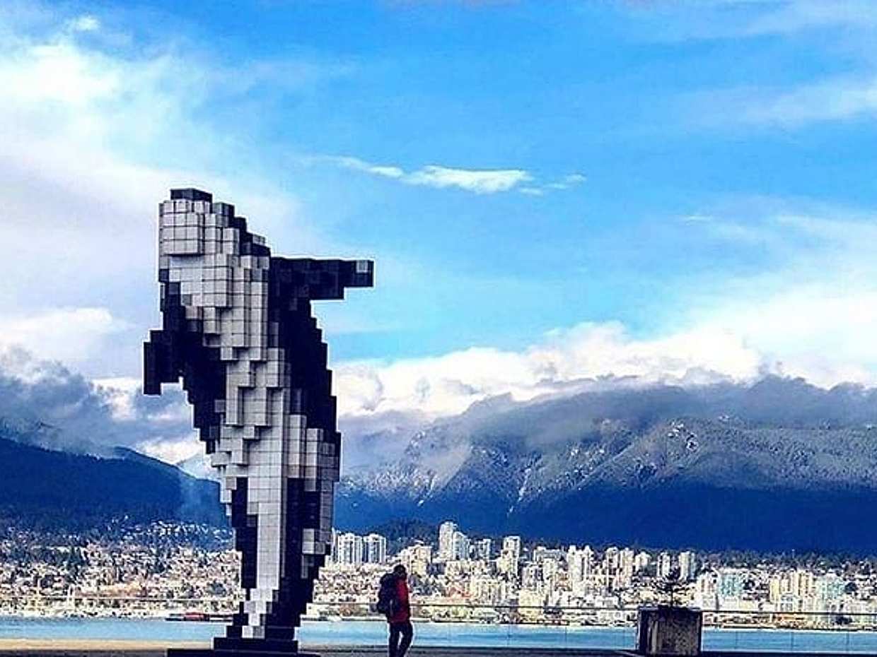 Best Selling Vancouver Sightseeing Tour 5 Hours(Private setting), photo 4
