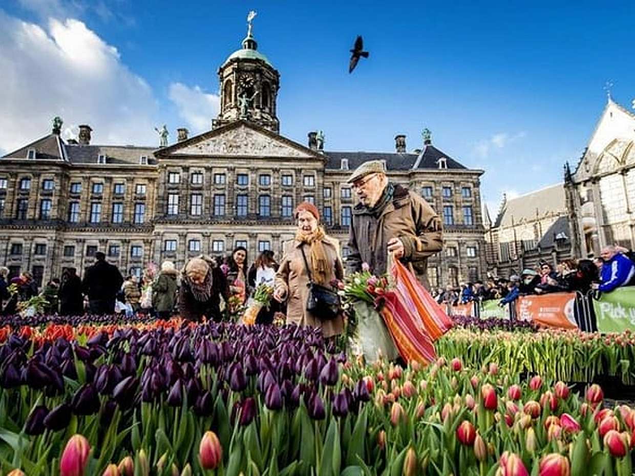 e-Scavenger hunt Amsterdam: Explore the city at your own pace, photo 4