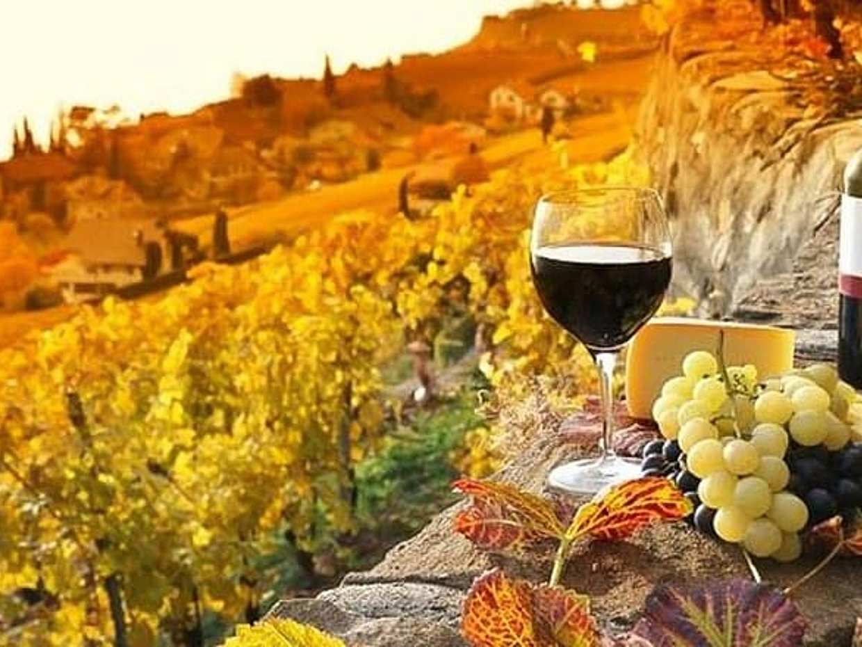 Chianti Private Tour with Dinner and Wine Tasting Experience