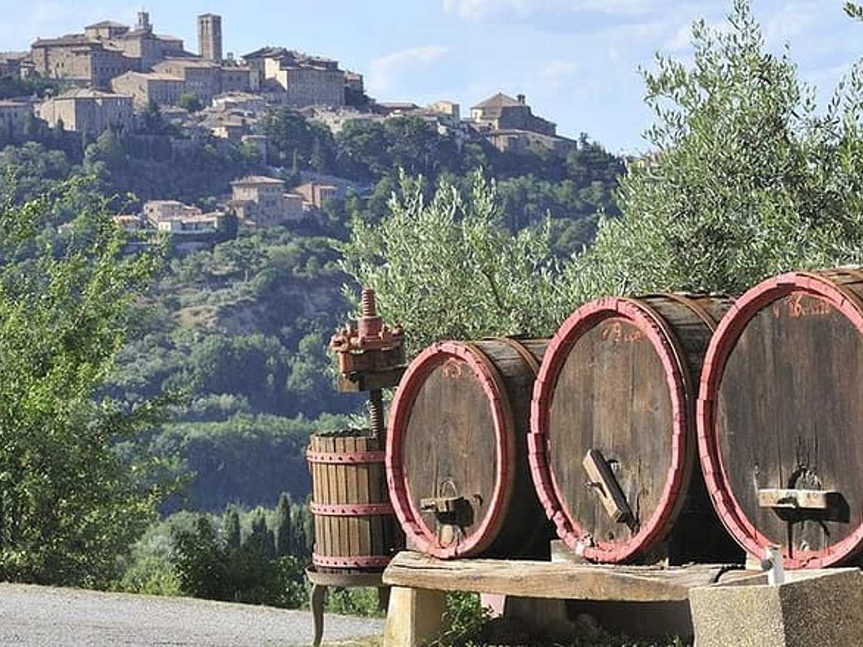 "Tour Enologico della Val d'Orcia con Pranzo e Brunello da Siena in Italia", photo 4