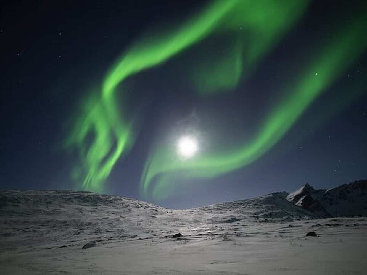 Tromsø Island Snowshoe Hike with Free Photos & Arctic Meal, photo 2