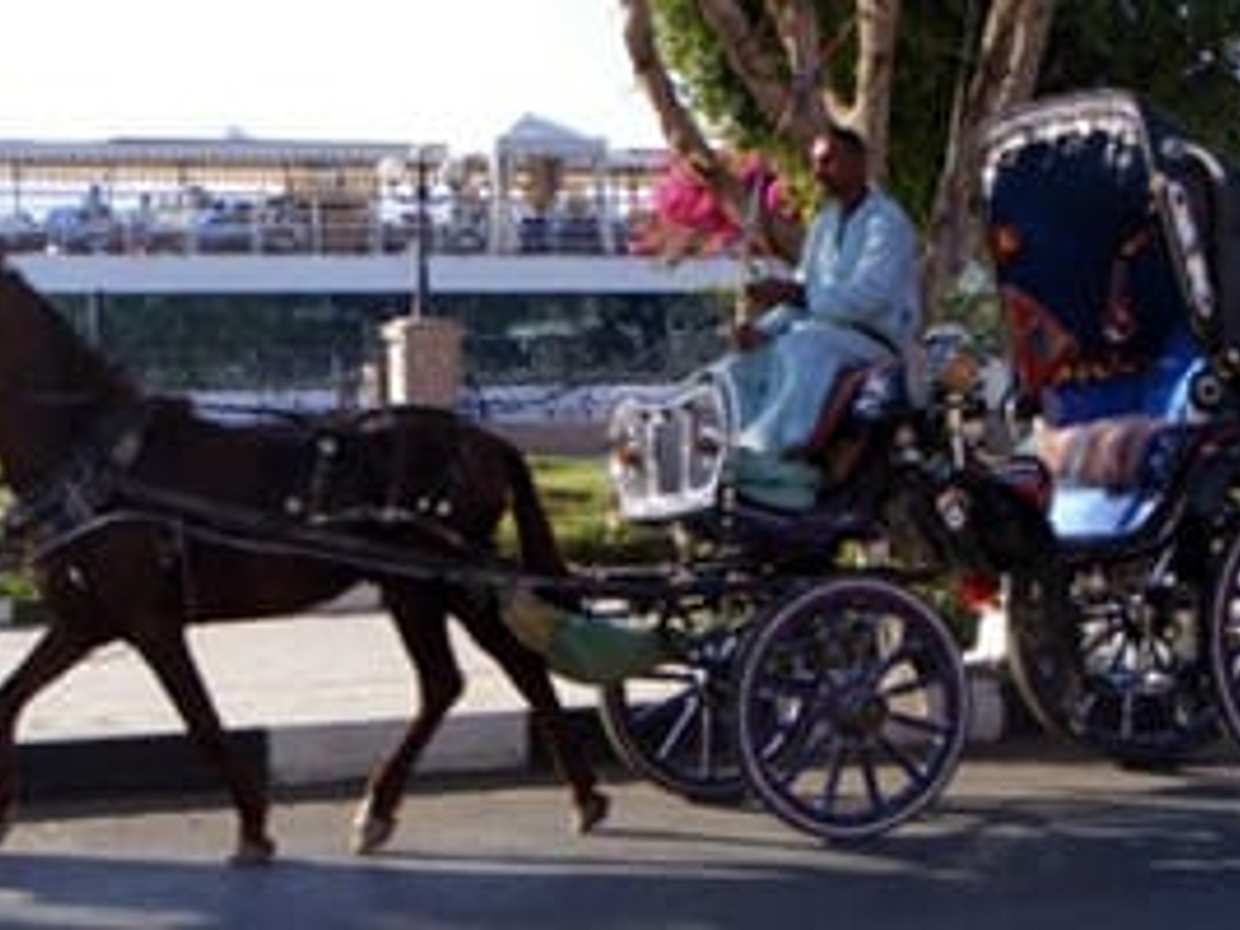 Budget 2 Night Tours In Cairo With Hotel Pickup and Drop-off, photo 5