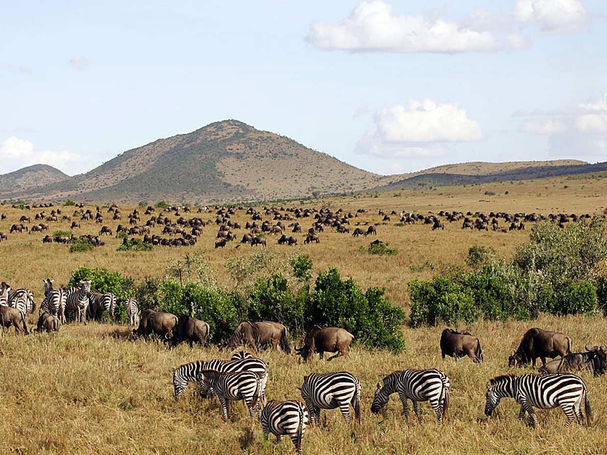 6 Daуs Amboseli, Lake Nakuru and Maasai Mara Safari in Kenya, Nairobi, photo 3