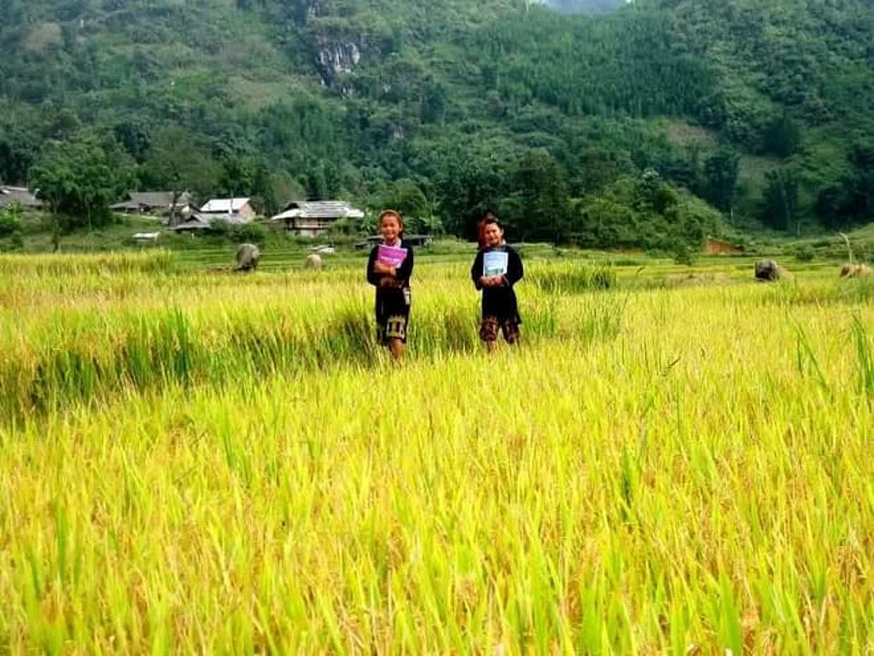 Sapa & Halong Bay Tour – 4 Days/3Nights Package, Vietnam