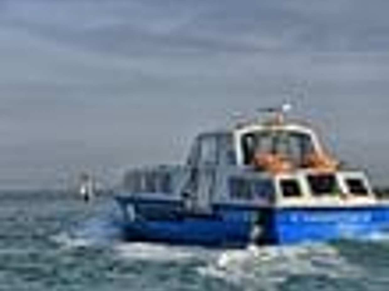 Venezia: Noleggio motoscafo per 2 ore con aperitivo, photo 4