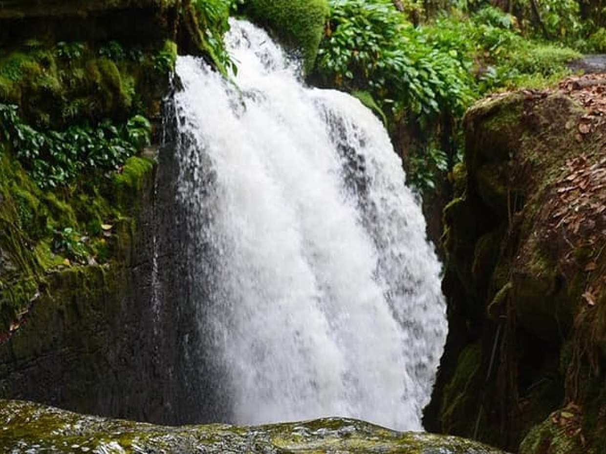 Amazon Waterfalls - Presidente Figueiredo in Brazil, Manaus, photo 5