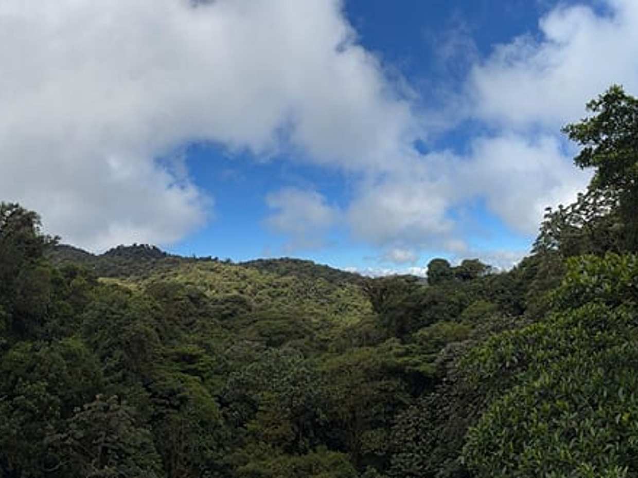 Monteverde hanging bridges with a local tour guide, photo 5