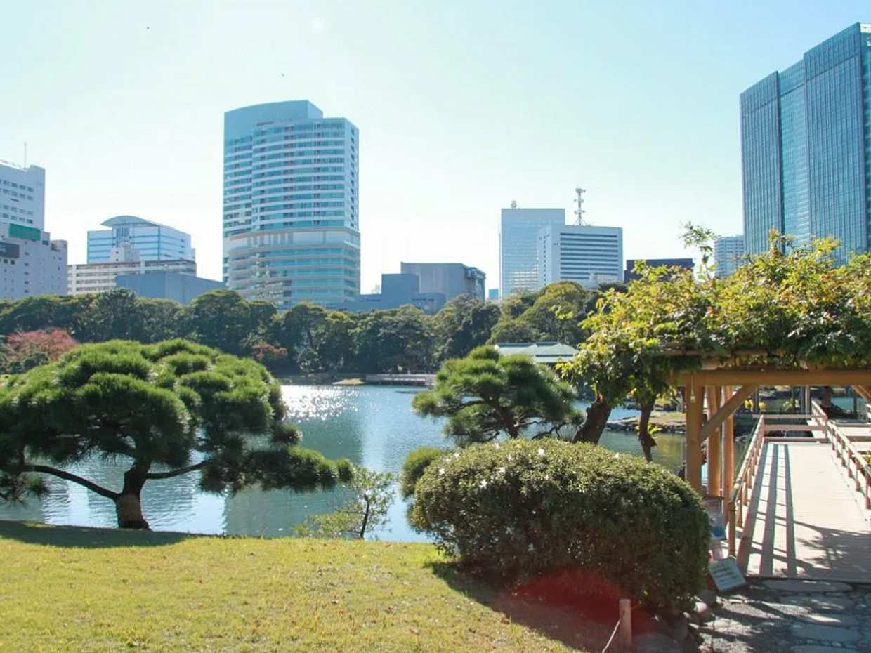 Personalized Tokyo City Tour with Guide by Car in Japan, Personalized City Tour by Car, photo 2