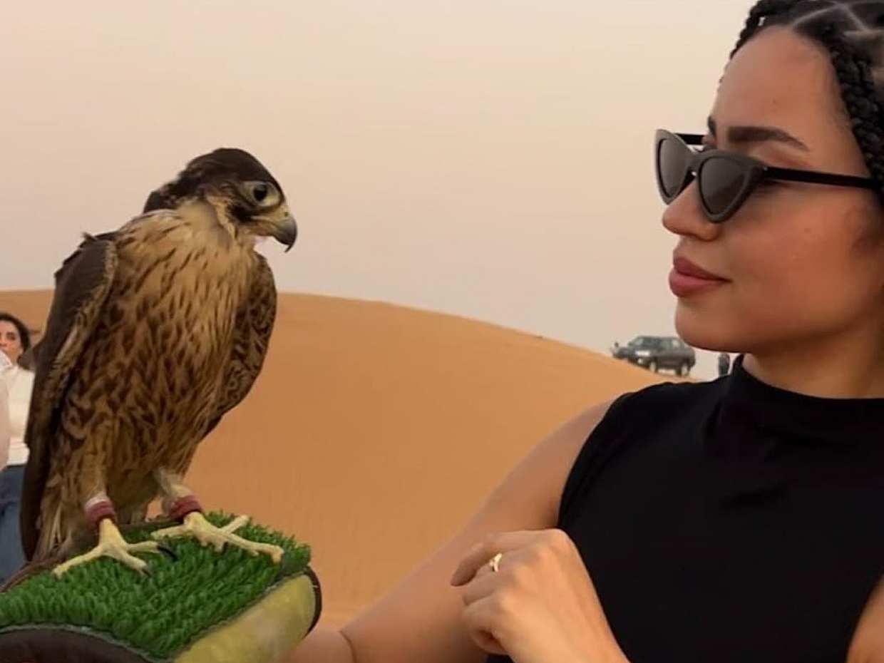 Evening Desert Safari - Adventure Desert Moments in United Arab Emirates, Dubai, photo 5