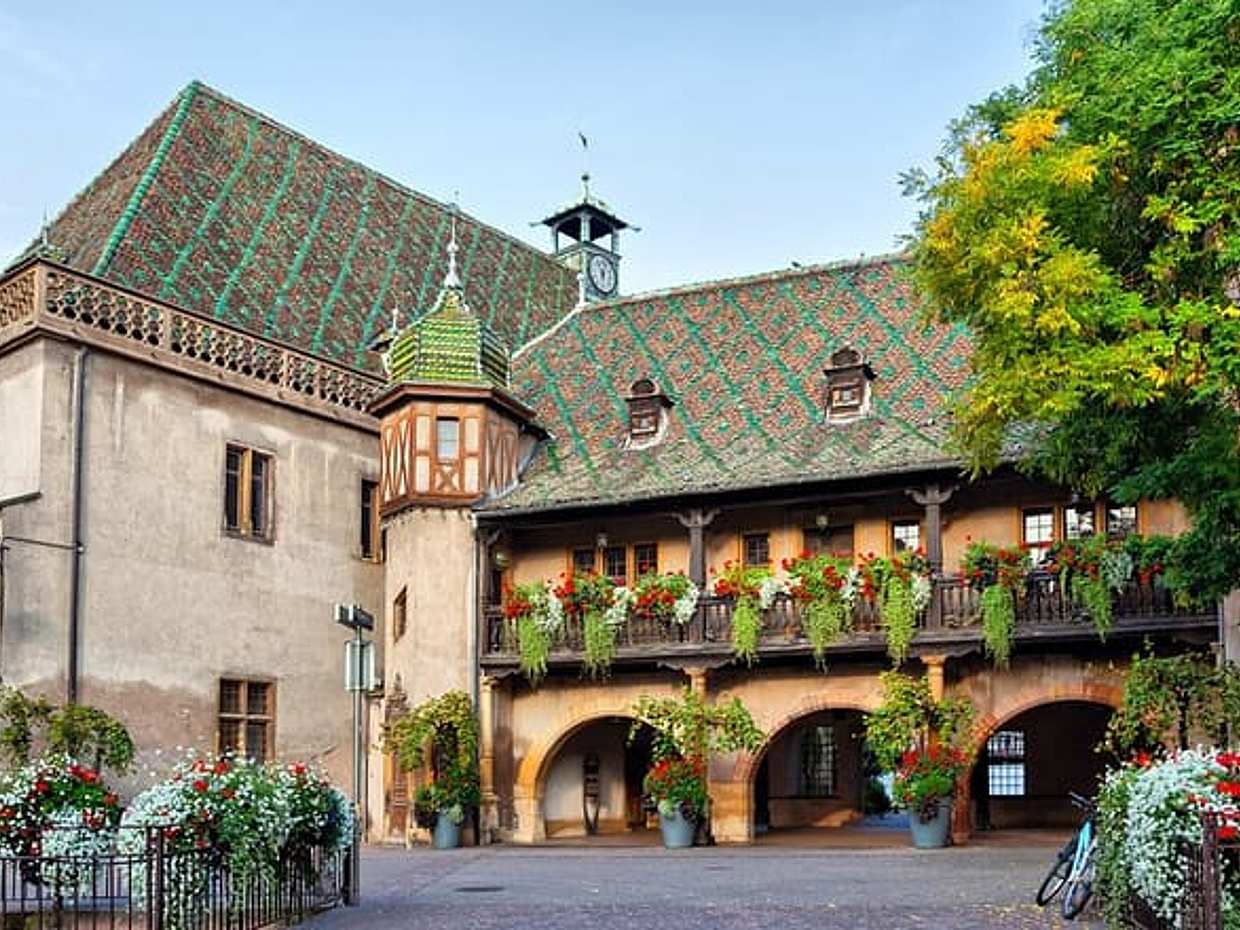 Private day trip from Basel to Colmar Strasbourg and back in Switzerland, Binningen, photo 4