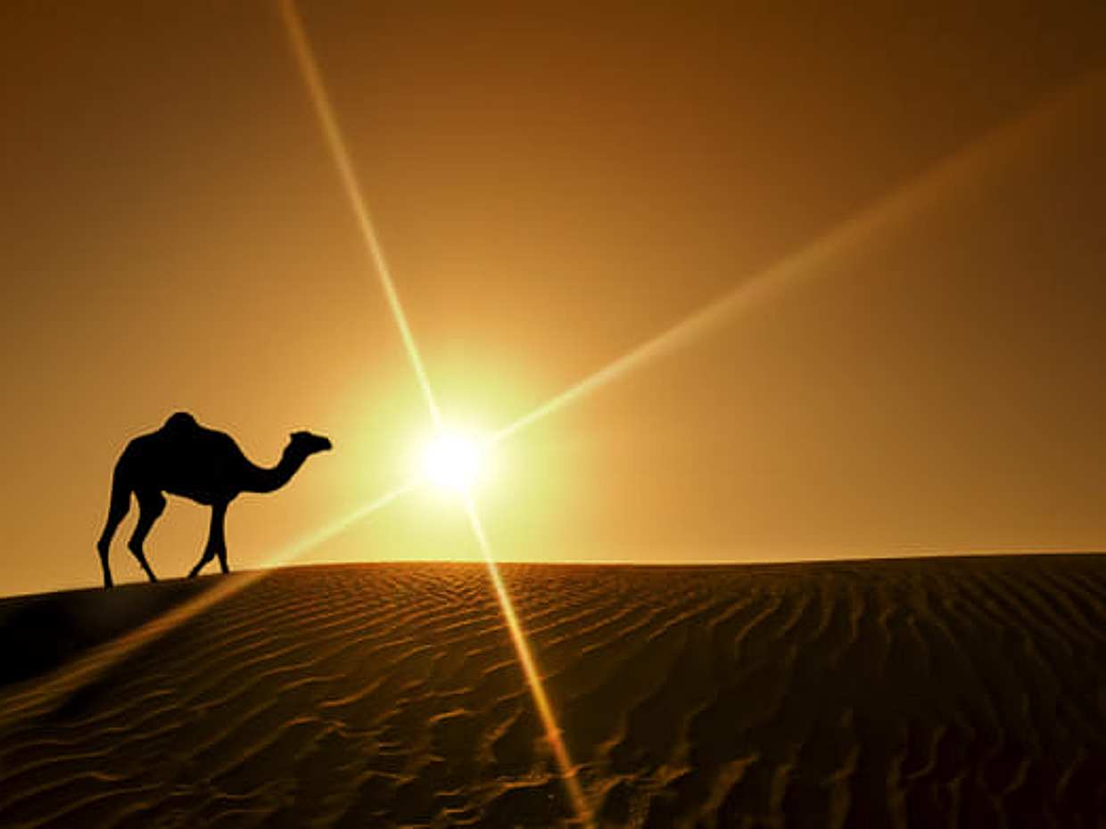 Magic of Marrakech and the desert 6 days