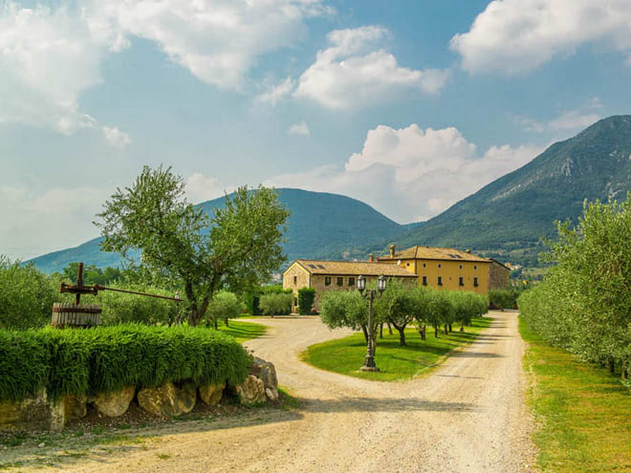 Wine Tour and Tasting on Garda Hills, photo 3