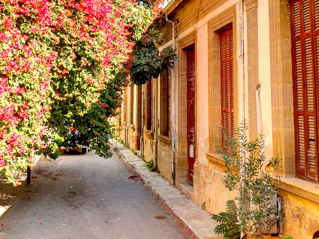 Tour della città di Nicosia, photo 3