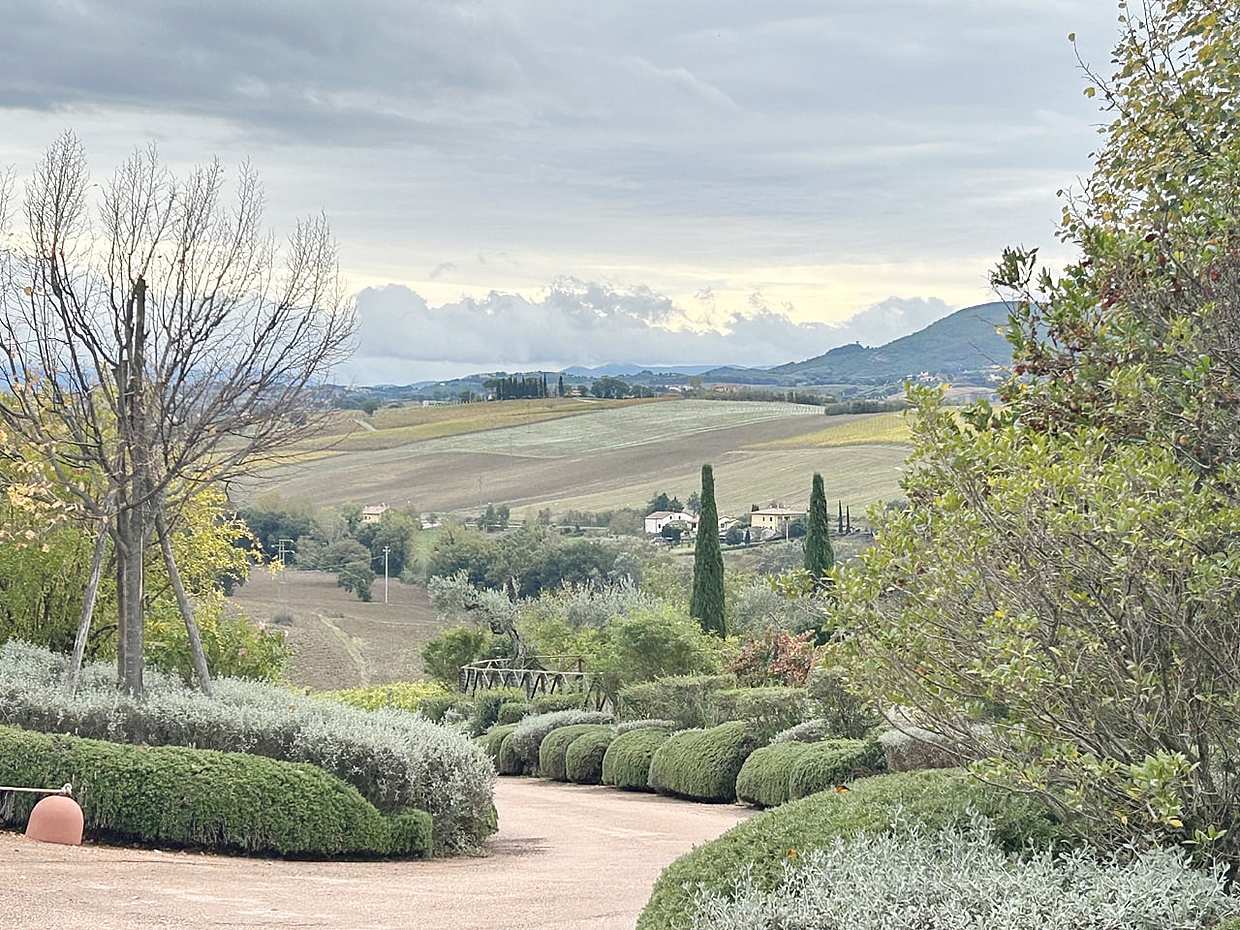 Exclusivos vinos de Asís y Sagrantino di Montefalco en Italia, Florencia.
, photo 3
