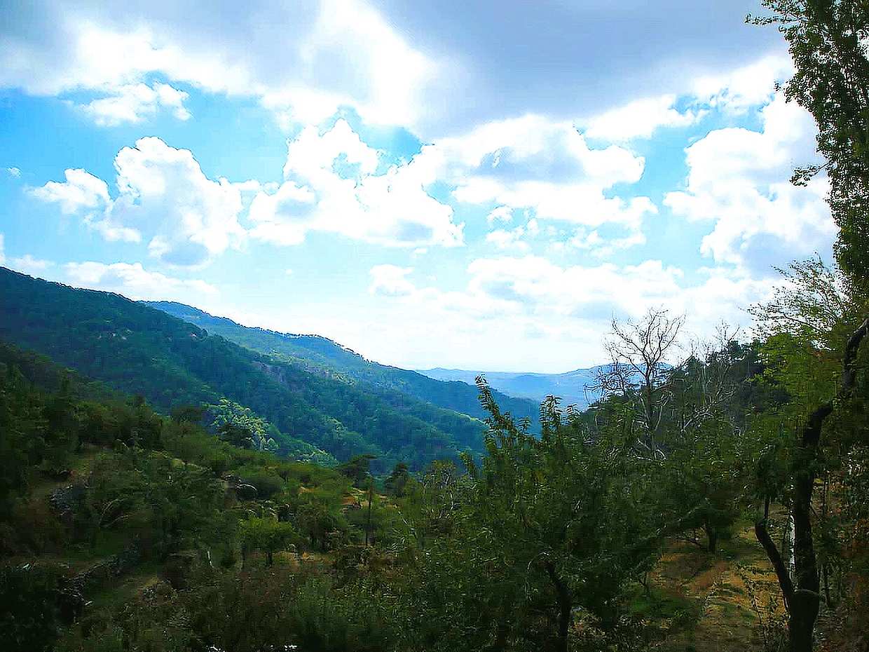 Troodos, Omodos & Kykkos Kloster – Ganztägige Tour ab Paphos auf Zypern, Paphos-Tour zum Troodos-Gebirge
, photo 3