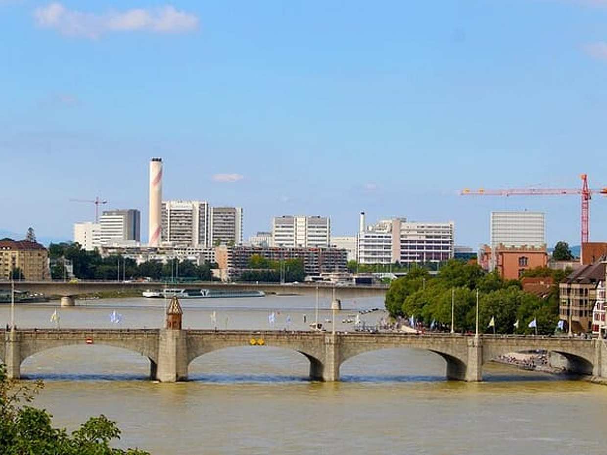 Door-to-Door private transfer and driver from Strasbourg to Basel in France, photo 3