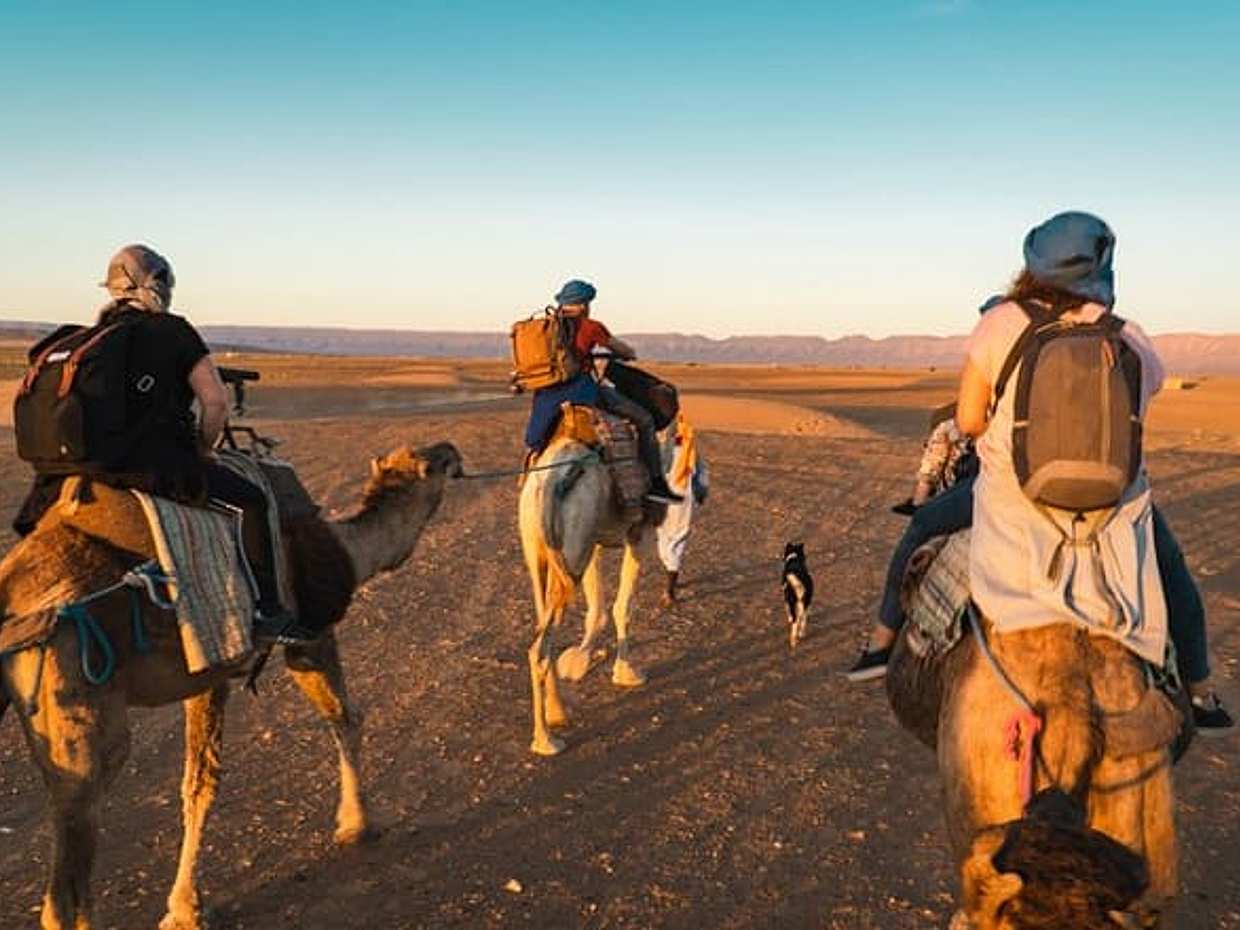 From Marrakech: Zagora 2-Day Desert Safari with Camel, and Camp