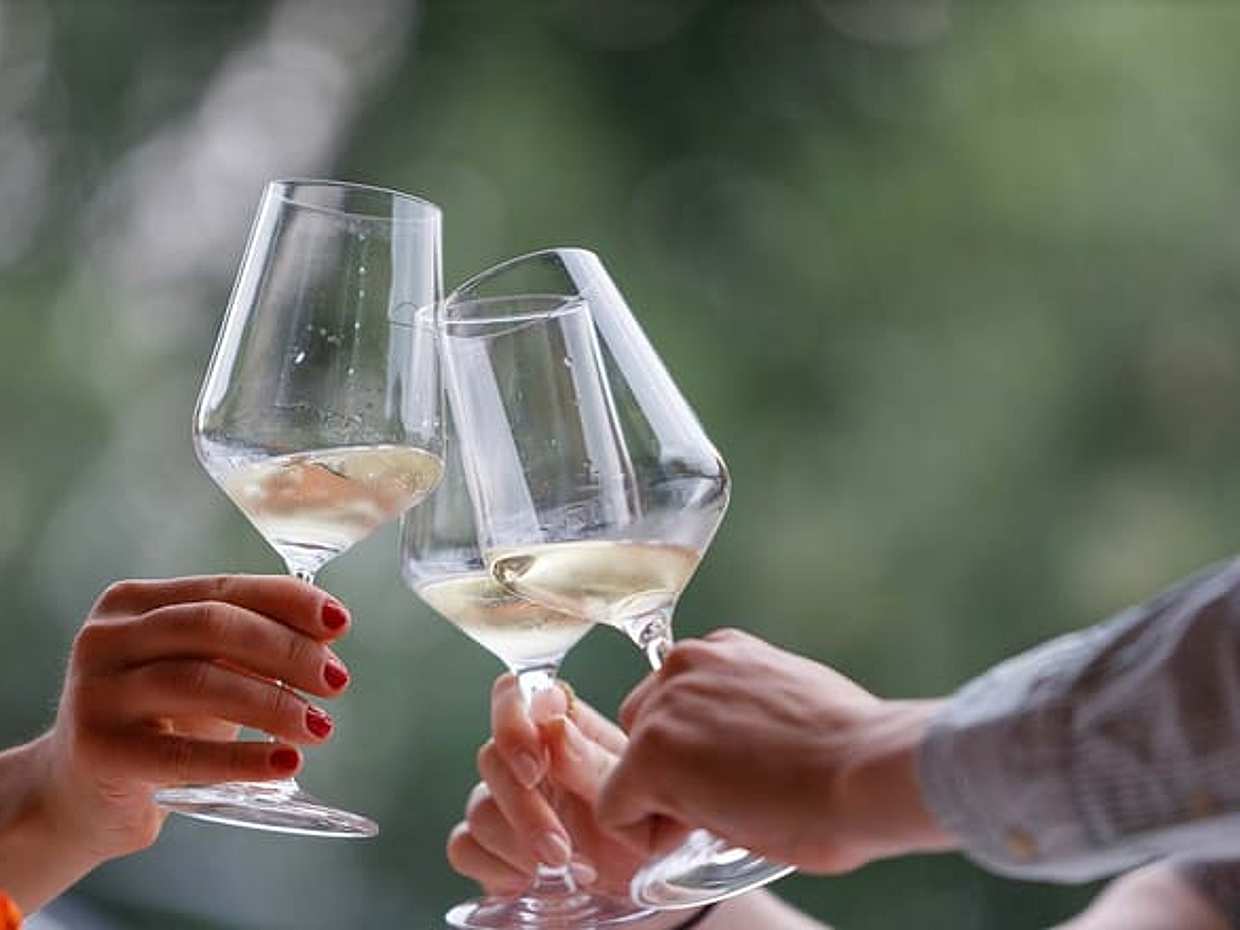 Winery Tour and Tasting of Garda Wines, photo 3