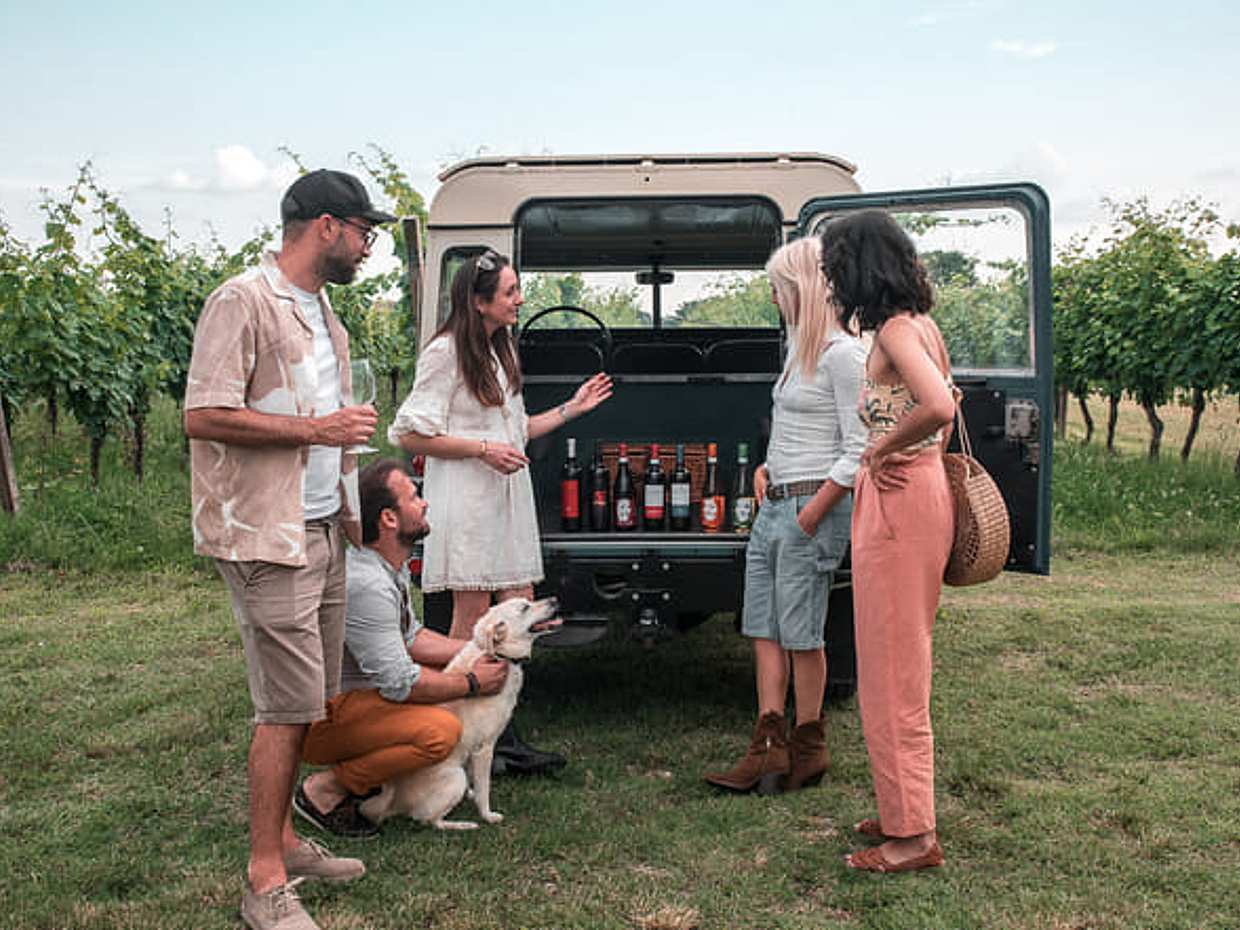 4x4 Vineyard Tour with WineTasting Experience