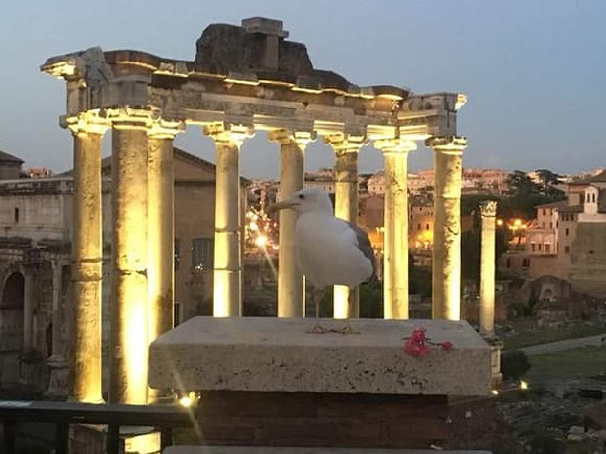 VIP Rome by Night Bike Tour with Panoramic Views and Iconic Evening Spots | Private, photo 2