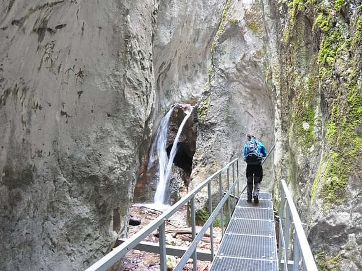 Celodenní výlet pro malé skupiny do epického kaňonu 7 žebříků z Brašova v Rumunsku, Brašov, photo 2
