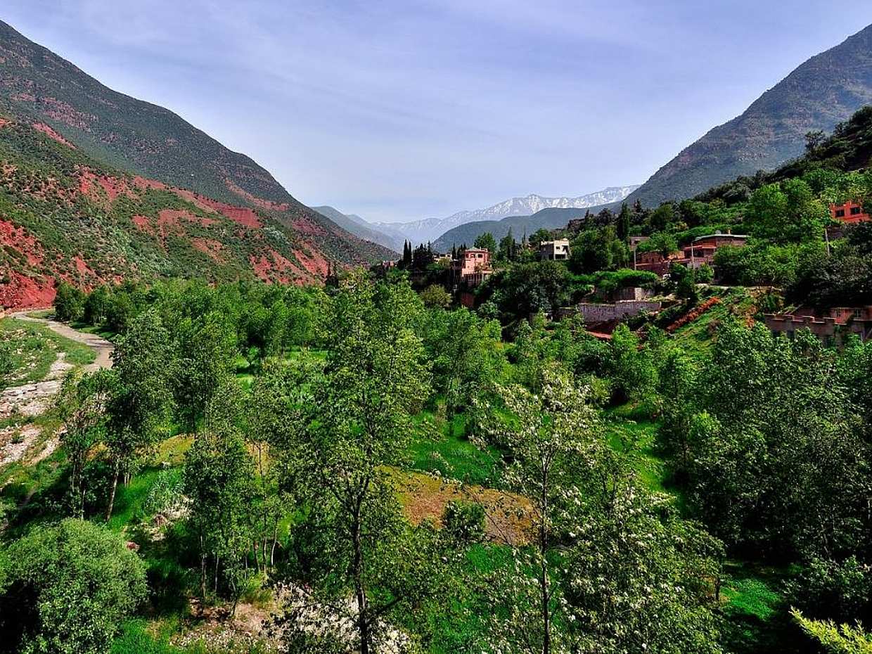 Valle de Ourika y excursión de día completo a las montañas del Atlas con almuerzo en Marruecos
, photo 2
