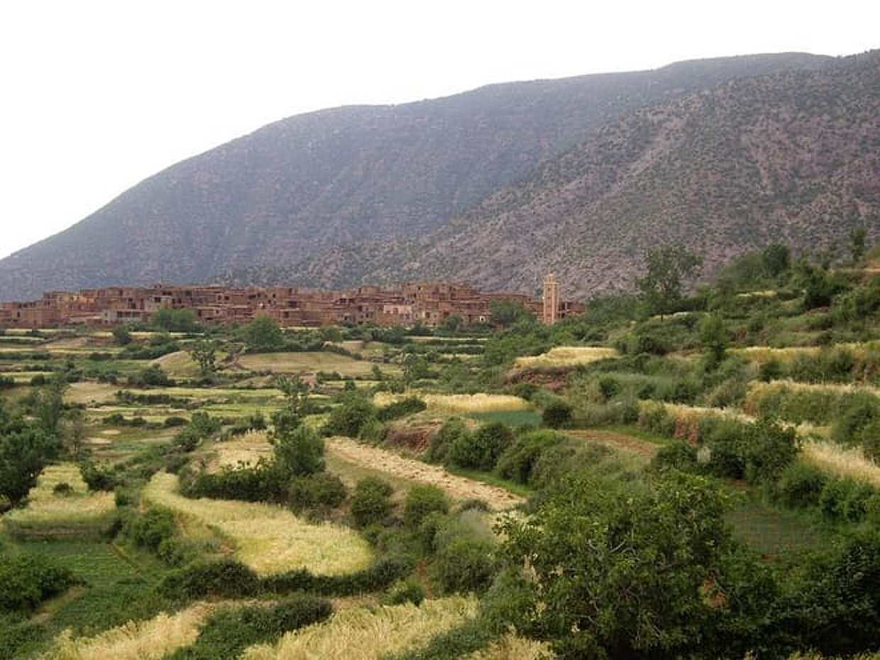 Zat Valley Guided Trekking, photo 5
