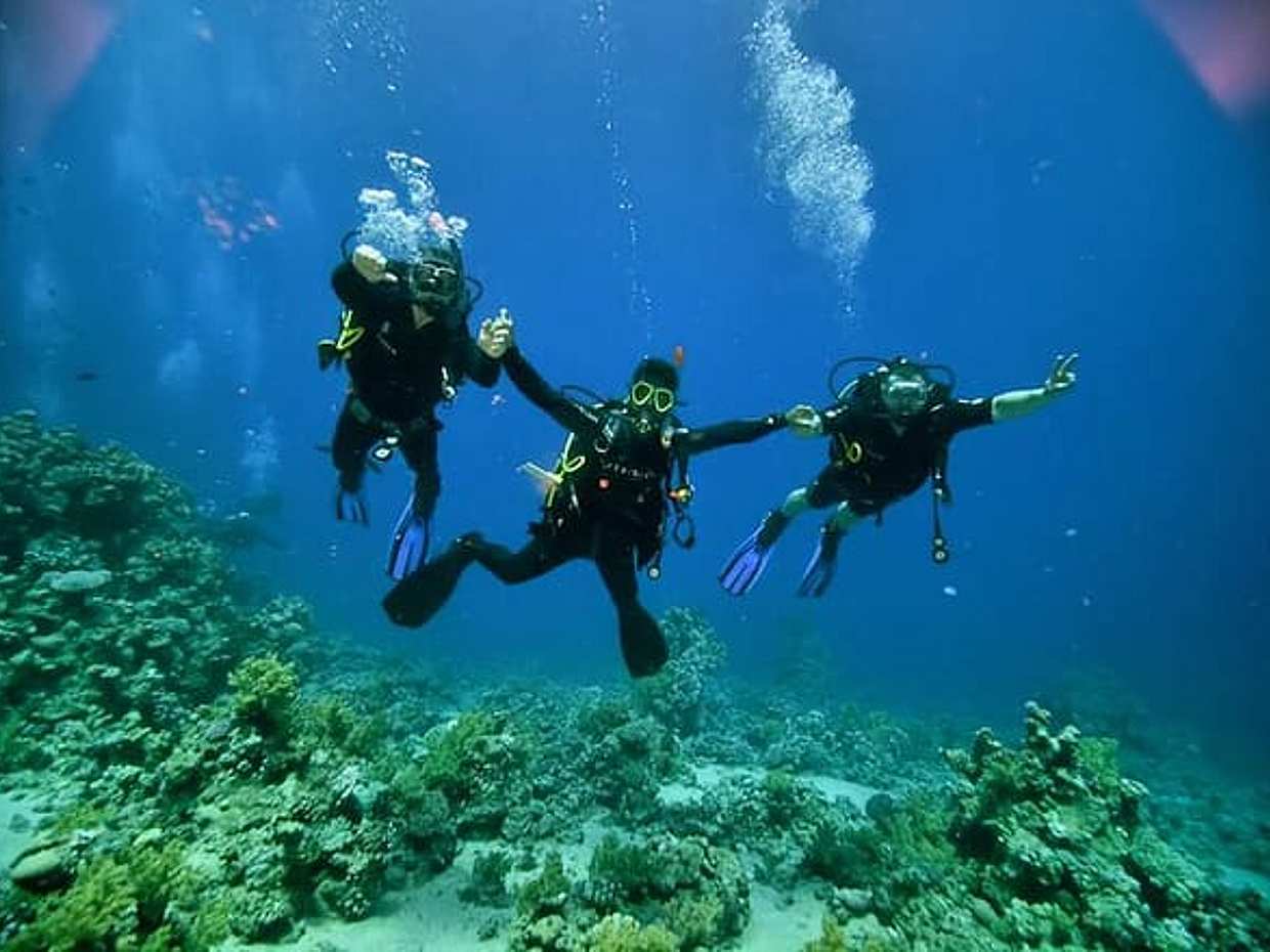 Diving And Snorkeling To Ras Mohamed And White Island By VIP Boat