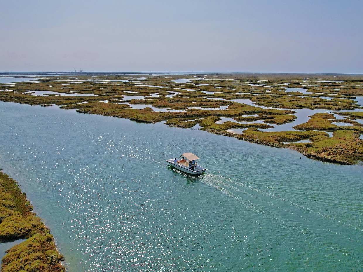 Keşfedin: Faro'nun Güzelliği: 1 Saatlik Ria Formosa Eko Turu – Portekiz'deki Bir Doğa Parkında Güneş Enerjili Huzur
, photo 4