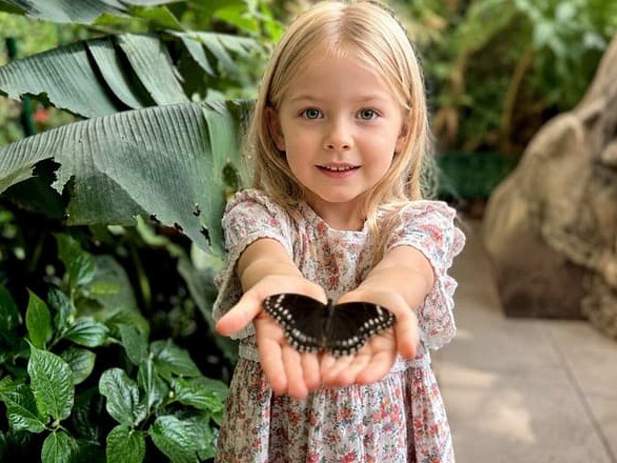 Wiedeńska Prywatna Wycieczka Rodzinna: Najważniejsze Atrakcje Miasta, Muzeum i Ciasto w Austrii