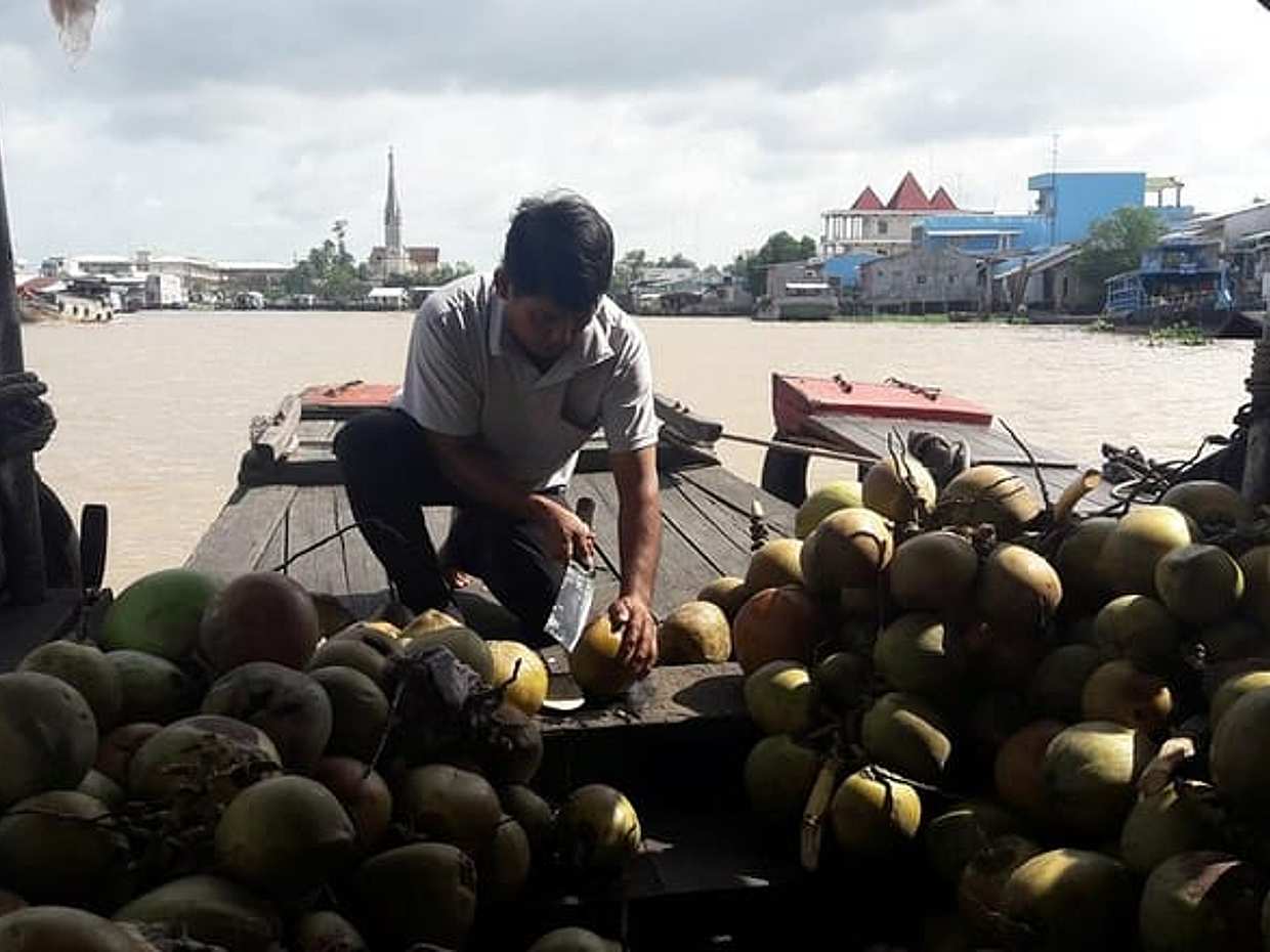 1-day Mekong Delta Tour: Cai Be Market, Local Island and Cycling in Vietnam, Ho Chi Minh City, photo 5