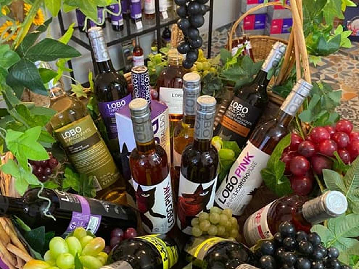 Taste of Tradition: Olive Oil, Wine & Fish in Portugal, Lisbon, photo 4