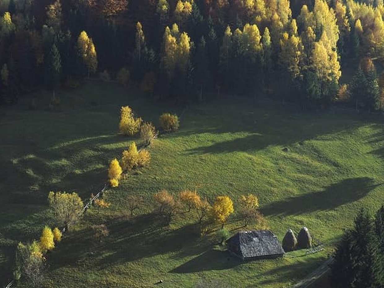 Malá skupinová jednodenní výprava do autentických rumunských horských vesnic z Brašova, Brašov, photo 4