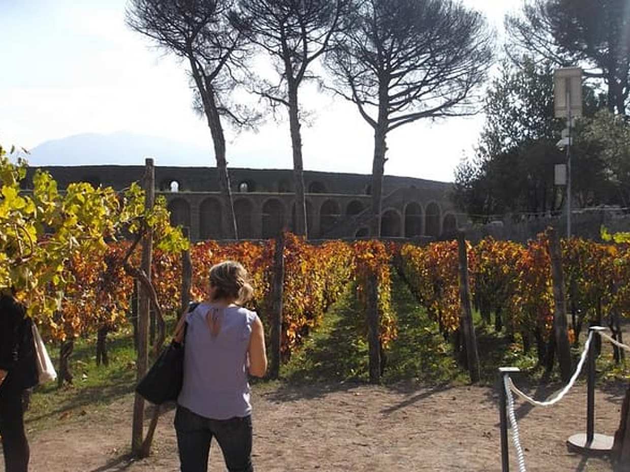 From SorrentoCoast:Pompeii max8 all inclusive(Guide,Transfer,Ticket)Skip TheLine, photo 3